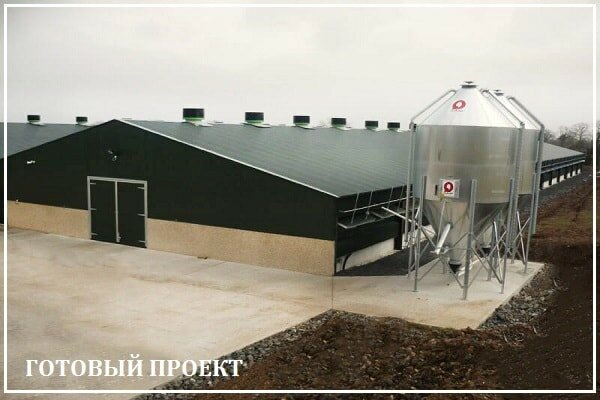 Этапы возведения птицефабрики от завода ВелесТент-сбс